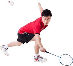 Image result for Lessa (Hq) Badminton Club