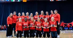 Image result for Poole Netball Club