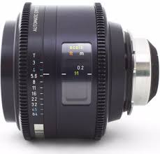 Attēlu rezultāti vaicājumam “Licea minima macro”