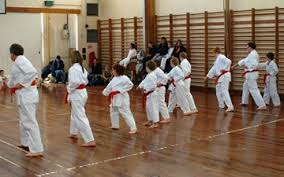 Image result for Sandokai Karate