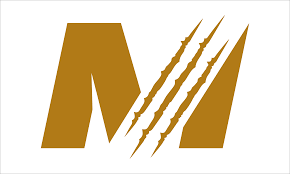 Image result for ATA Martial Arts Manchester