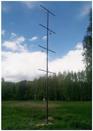 Attēlu rezultāti vaicājumam “Bitoma crenata imago”