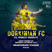 Image result for Old Dorkinians