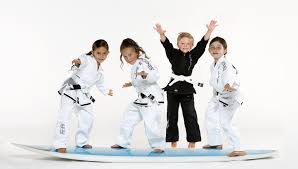 Image result for Daniel Gracie Academy