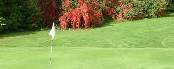 Image result for Harewood Downs Golf Club