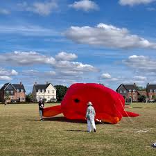 Image result for White Horse Kite Fliers Club