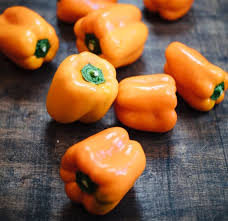 Afbeeldingsresultaat voor orange sun sweet pepper