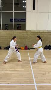 Image result for Mickleham Seiki Juku Karate Club