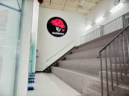 Image result for York University Gymnastics Club