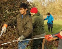 Image result for Wey Valley Disabled Angling Association