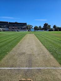 Image result for Ipsden Cricket Club