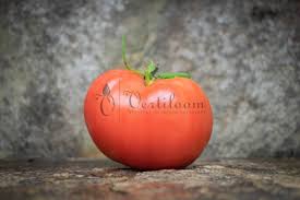 Afbeeldingsresultaat voor butter and bull heart tomato