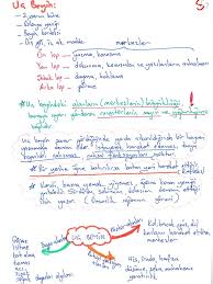 Image result for b%FD%E7ak anatomisi