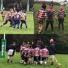 Image result for Barnsley Rugby Union Football Club