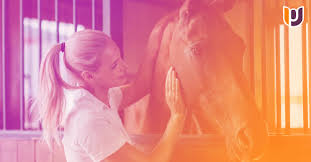 Image result for Reading University Riding Club