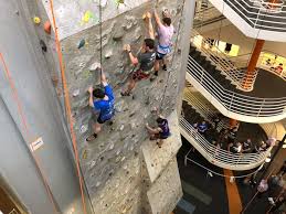 Image result for High Sports Climbing Wall