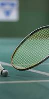 Image result for Greenacre Badminton Club