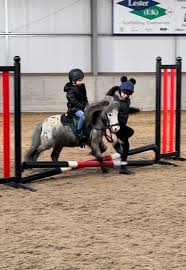 Image result for Beechwood Riding School