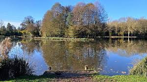 Image result for Henlow Cc