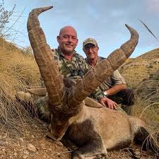 Image result for Fleet Ibex Field Archery Club