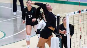 Image result for Calne Volleyball Club