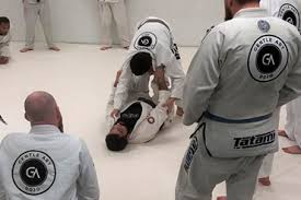 Image result for Derwent Jujitsu Academies