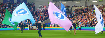 Image result for Brighton Rock Floorball Club