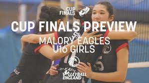 Image result for Malory Eagles volleyball club