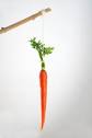 The carrot and stick moving to a lower carbon economy ... 