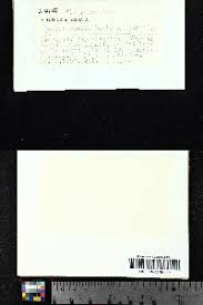 Attēlu rezultāti vaicājumam “Barbilophozia barbata”