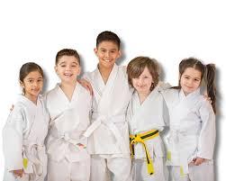 Image result for Redhill Karate Association
