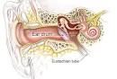 Ear Infection Slideshow: Diagnosis, Symptoms, Home Care, Ear Tubes ...