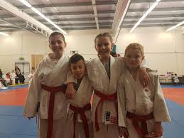 Image result for Merseyside judo association