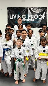 Image result for Synergy Tae Kwon Do