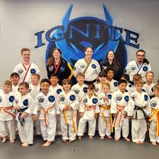 Image result for Windsor Karate Club