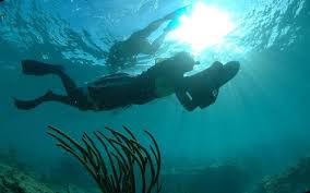 Image result for East Snorkellers
