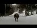 Cross Country Skiing At The 1952 Winter Olympics