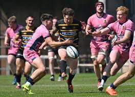 Image result for Hayle Rugby Football Club