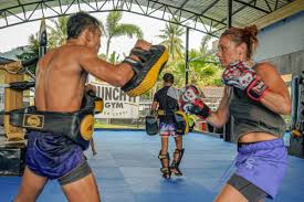 Image result for Muay Thai Clubs
