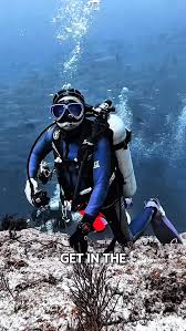 Image result for Scuba Skooling