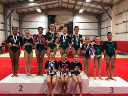 Image result for South Essex Gymnastics Club
