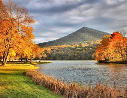 Image result for Bedford