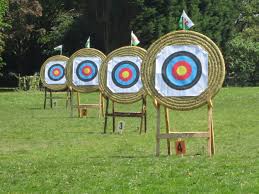 Image result for Castle Field Archers