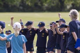 Image result for Cranleigh Cricket Club