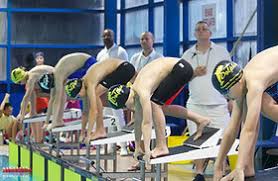 Image result for Swindon Dolphins Swimming Club