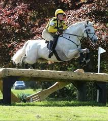Image result for North Lammermuir Riding Club
