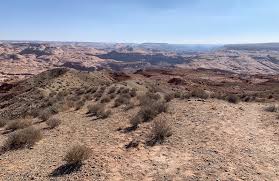 Image result for Dearne Valley Devils