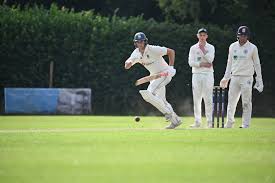 Image result for Basingstoke & North Hants Cricket Club