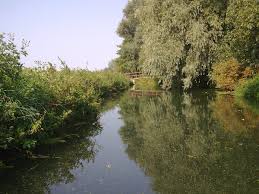 Image result for Bungay & Waveney Valley Golf Club