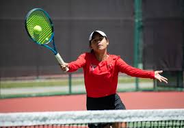 Image result for V-Tennis